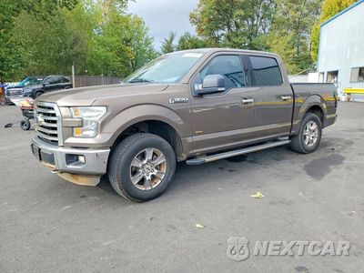 2016 FORD F150 SUPERCREW 1FTEW1EG8GKF72237 - główne zdjęcie licytacji z USA - miniatura