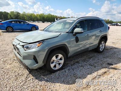 2019 TOYOTA RAV4 XLE 2T3W1RFV6KW050124 - główne zdjęcie licytacji z USA - miniatura