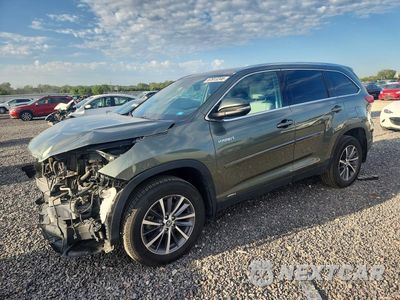 2019 TOYOTA HIGHLANDER HYBRID XLE 5TDJGRFH6KS069700 - główne zdjęcie licytacji z USA - miniatura