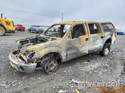 2013 FORD F150 SUPERCREW 1FTFW1ET6DFA55086 - główne zdjęcie licytacji z USA - miniatura