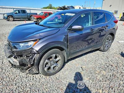 2019 HONDA CR-V EXL 5J6RW2H88KL023517 - główne zdjęcie licytacji z USA - miniatura
