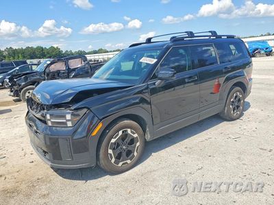2025 HYUNDAI SANTA FE SEL 5NMP24GL3SH118918 - główne zdjęcie licytacji z USA - miniatura