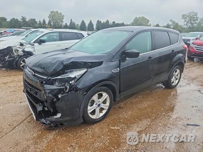 2014 FORD ESCAPE SE 1FMCU0GX8EUE48521 - główne zdjęcie licytacji z USA - miniatura