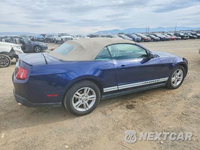Trzecie zdjęcie samochodu z tyłu: 2010 FORD MUSTANG VIN:1ZVBP8EN1A5167833 - miniatura
