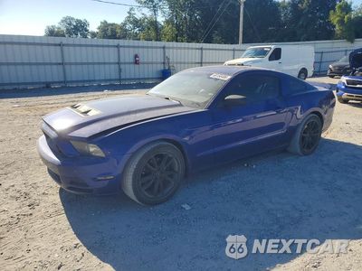 2014 FORD MUSTANG 1ZVBP8AM3E5310753 - główne zdjęcie licytacji z USA - miniatura