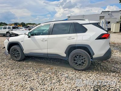 Drugie zdjęcie samochodu z przodu: 2022 TOYOTA RAV4 XLE VIN:2T3W1RFVXNC199156 - miniatura