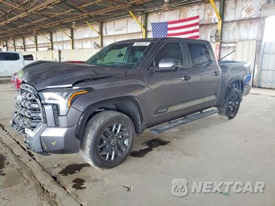 2024 TOYOTA TUNDRA PLATINUM 5TFNA5DB2RX188164 - główne zdjęcie licytacji z USA - miniatura