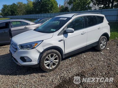 2019 FORD ESCAPE SEL 1FMCU9HD0KUB18733 - główne zdjęcie licytacji z USA - miniatura