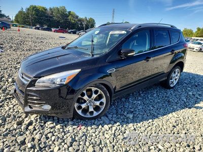 2016 FORD ESCAPE TITANIUM 1FMCU9J92GUA61979 - główne zdjęcie licytacji z USA - miniatura