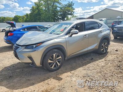 2021 LEXUS NX 300 BASE JTJGARDZ8M5031902 - główne zdjęcie licytacji z USA - miniatura
