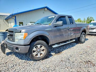 2013 FORD F150 SUPER CAB 1FTFX1EF6DFD78657 - główne zdjęcie licytacji z USA - miniatura