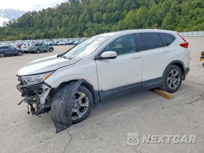 2019 HONDA CR-V EX 2HKRW1H54KH507968 - główne zdjęcie licytacji z USA - miniatura