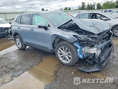 Czwarte zdjęcie samochodu z boku: 2025 HONDA CR-V 4D LX VIN:2HKRS4H49SH495577 - miniatura