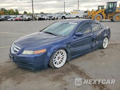2006 ACURA 3.2TL 19UUA66276A013357 - główne zdjęcie licytacji z USA - miniatura