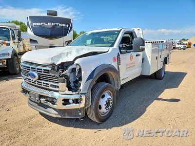 2025 FORD F450 SUPER DUTY 1FDUF4HT0SDA08693 - główne zdjęcie licytacji z USA - miniatura