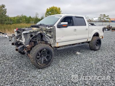 2013 FORD F150 SUPERCREW 1FTFW1ET0DFB00345 - główne zdjęcie licytacji z USA - miniatura