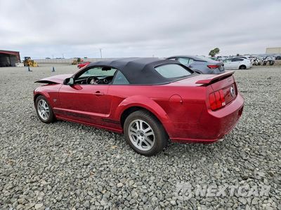 Drugie zdjęcie samochodu z przodu: 2005 FORD MUSTANG GT VIN:1ZVFT85H955236068 - miniatura