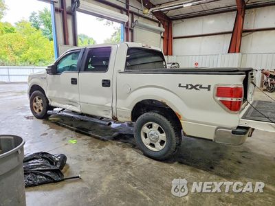 Drugie zdjęcie samochodu z przodu: 2011 FORD F150 SUPERCREW VIN:1FTFW1EF6BKD68654 - miniatura