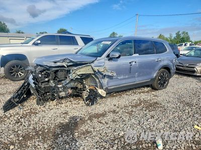 2023 KIA TELLURIDE SX 5XYP5DGC2PG356932 - główne zdjęcie licytacji z USA - miniatura