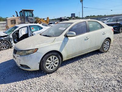 2013 KIA FORTE LX KNAFT4A28D5673360 - główne zdjęcie licytacji z USA - miniatura