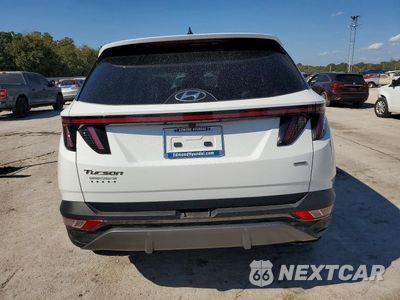 Zdjęcie 6 z 12 samochodu: 2024 HYUNDAI TUCSON LIMITED VIN:5NMJECDE8RH411947 - miniatura
