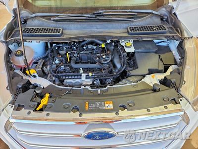 Zdjęcie 12 z 13 samochodu: 2019 FORD ESCAPE SE VIN:1FMCU0GD7KUB93832 - miniatura