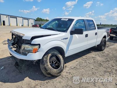 2014 FORD F150 SUPERCREW 1FTFW1EF5EKG09883 - główne zdjęcie licytacji z USA - miniatura