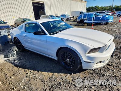 Czwarte zdjęcie samochodu z boku: 2014 FORD MUSTANG VIN:1ZVBP8AM0E5282104 - miniatura