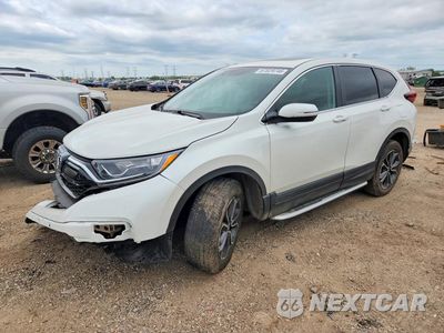 2020 HONDA CR-V EX 5J6RW2H52LL011953 - główne zdjęcie licytacji z USA - miniatura