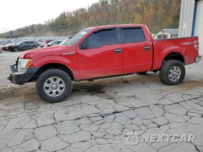 2010 FORD F150 SUPER 1FTEW1E81AFA07725 - główne zdjęcie licytacji z USA - miniatura