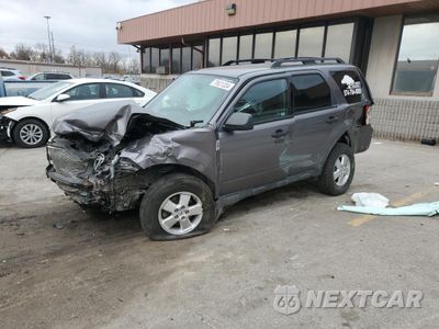 2011 FORD ESCAPE XLT 1FMCU9DG6BKA52295 - główne zdjęcie licytacji z USA - miniatura