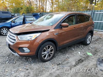 2017 FORD ESCAPE SE 1FMCU9GD2HUA35248 - główne zdjęcie licytacji z USA - miniatura
