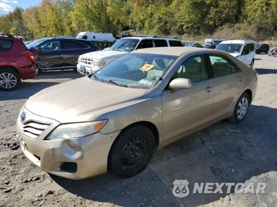 2010 TOYOTA CAMRY BASE 4T1BF3EK0AU116937 - główne zdjęcie licytacji z USA - miniatura