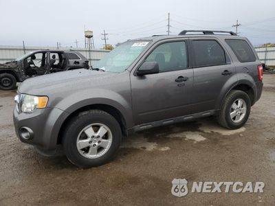 2011 FORD ESCAPE XLT 1FMCU0DG3BKB92252 - główne zdjęcie licytacji z USA - miniatura