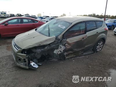 2013 FORD ESCAPE SEL 1FMCU9H90DUD72909 - główne zdjęcie licytacji z USA - miniatura