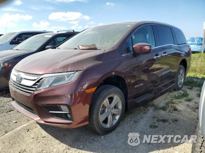 2020 HONDA ODYSSEY EX 5FNRL6H58LB028362 - główne zdjęcie licytacji z USA - miniatura