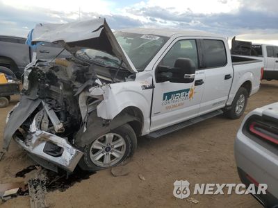 2016 FORD F150 SUPERCREW 1FTEW1EP1GKE79494 - główne zdjęcie licytacji z USA - miniatura