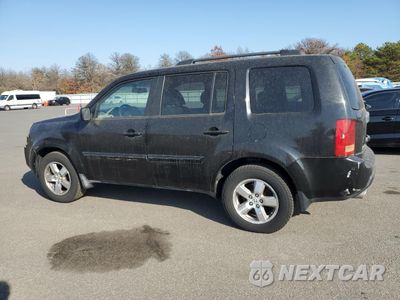 Drugie zdjęcie samochodu z przodu: 2009 HONDA PILOT EXL VIN:5FNYF48599B023705 - miniatura