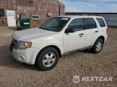 2012 FORD ESCAPE XLT 1FMCU9D70CKC46161 - główne zdjęcie licytacji z USA - miniatura