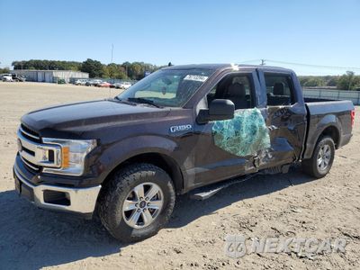 2020 FORD F150 SUPERCREW 1FTEW1CP0LKD51356 - główne zdjęcie licytacji z USA - miniatura