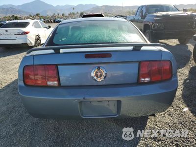 Zdjęcie 6 z 12 samochodu: 2005 FORD MUSTANG VIN:1ZVHT80N155249841 - miniatura