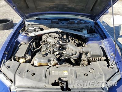 Zdjęcie 11 z 13 samochodu: 2013 FORD MUSTANG VIN:1ZVBP8EM6D5279605 - miniatura