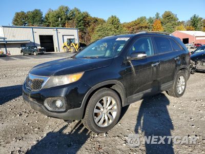 2011 KIA SORENTO EX 5XYKU3A11BG172914 - główne zdjęcie licytacji z USA - miniatura