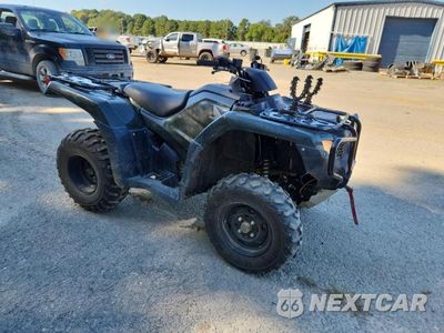 2025 HONDA 4 TRAX 1HFTE4009SJ101398 - główne zdjęcie licytacji z USA - miniatura