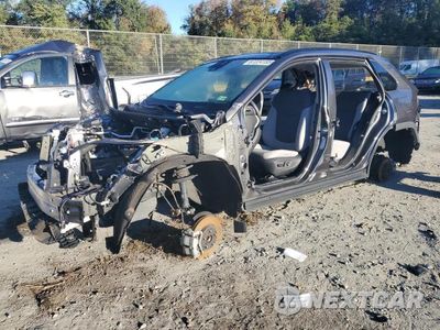 2024 TOYT RAV4 XLE 2T3P1RFV5RC443905 - główne zdjęcie licytacji z USA - miniatura