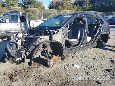 2024 TOYOTA RAV4 XLE 2T3P1RFV5RC443905 - główne zdjęcie licytacji z USA - miniatura