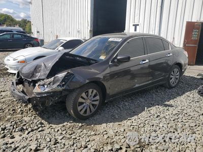 2011 HONDA ACCORD EX 1HGCP2F76BA113331 - główne zdjęcie licytacji z USA - miniatura