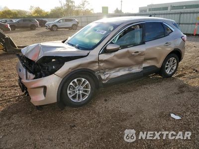 2020 FORD ESCAPE SE 1FMCU0G69LUB89560 - główne zdjęcie licytacji z USA - miniatura