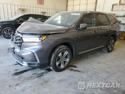2023 HONDA PILOT EXL 5FNYG1H46PB050540 - główne zdjęcie licytacji z USA - miniatura
