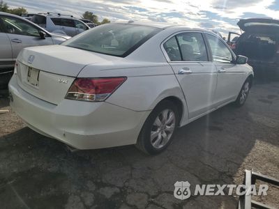 Trzecie zdjęcie samochodu z tyłu: 2010 HONDA ACCORD EXL VIN:5KBCP3F80AB003119 - miniatura